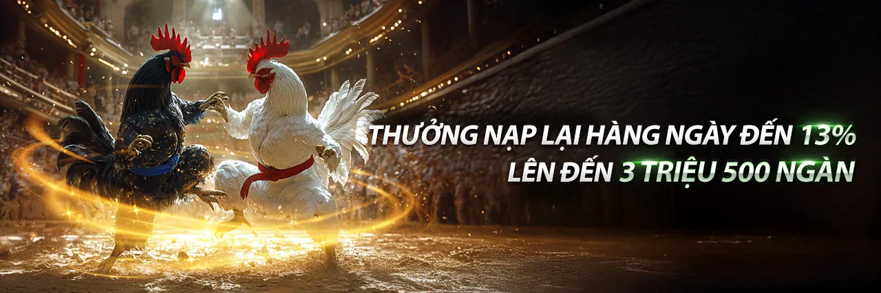 Đấu trường đá gà trực tuyến sôi động với bet69 code